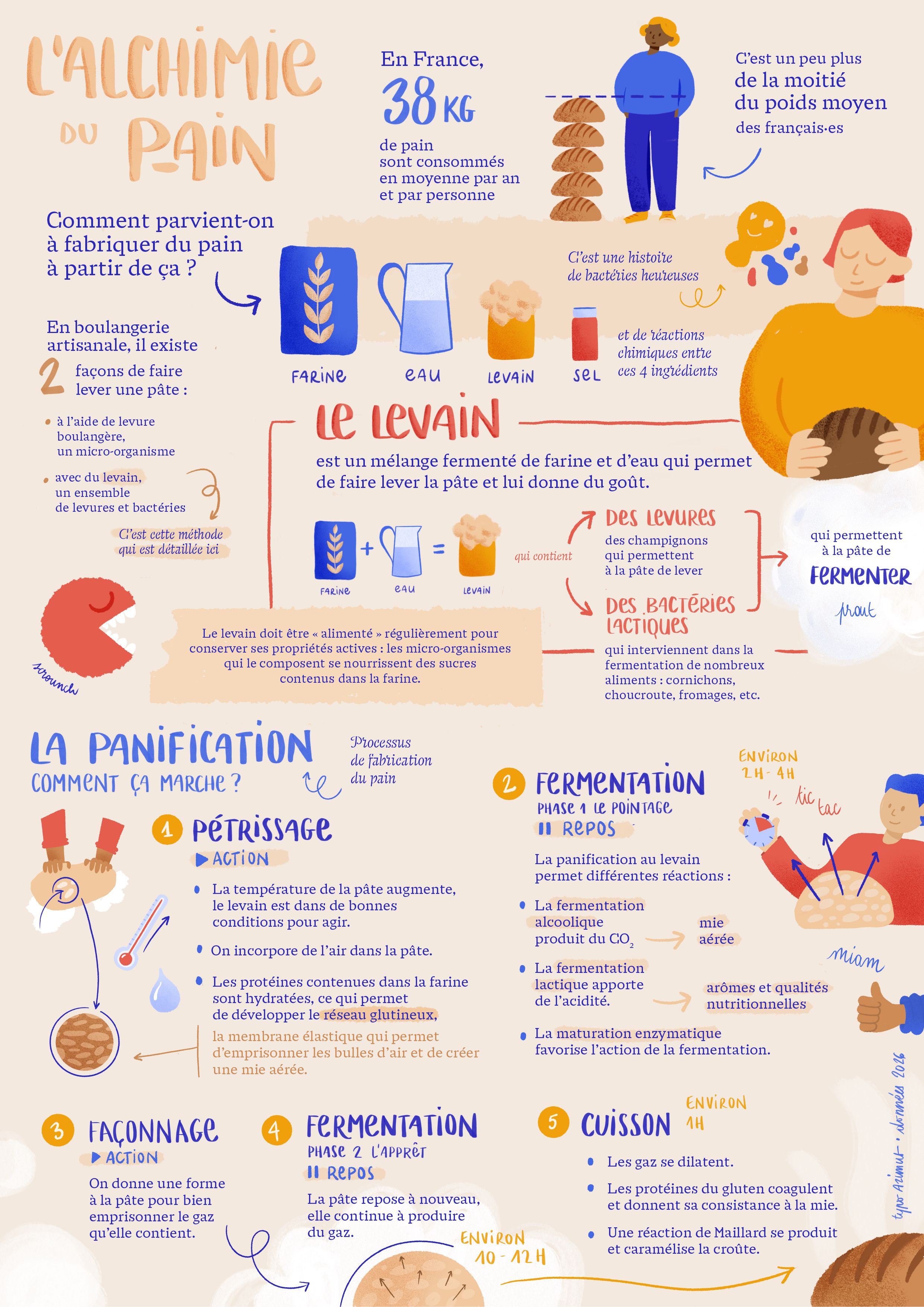 Réalisation infographiée