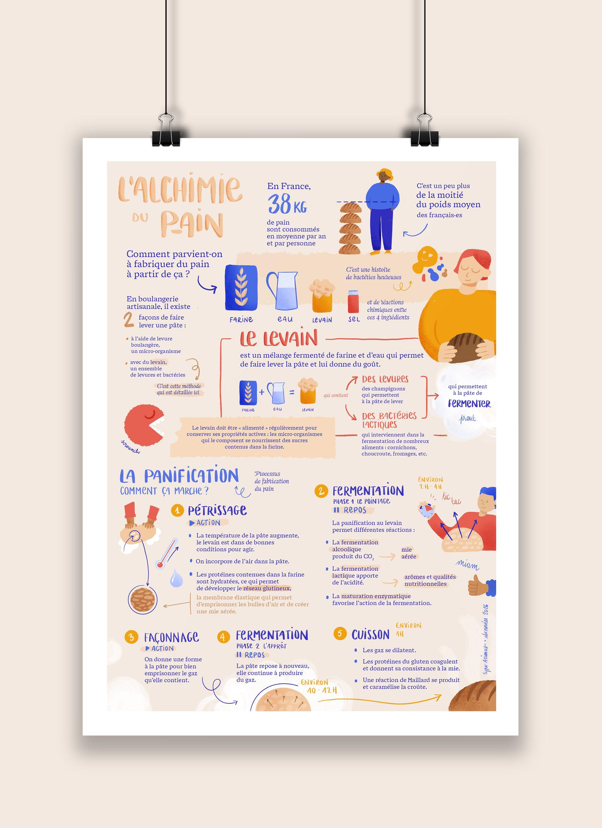 Infographie présentée sous forme d'affiche